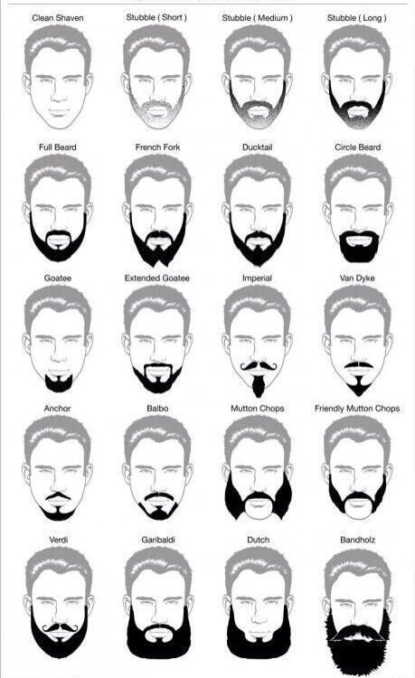 Tipos de barba